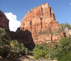Hking Tours of Zion National Park